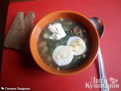 Суп с крапивой готов! Посыпаем его укропом и петрушкой и разливаем по тарелкам. Подаем с яйцом, сваренным вкрутую и сметаной. Приятного аппетита!