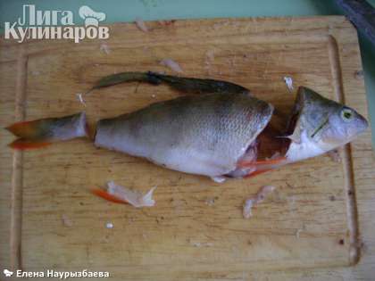 Окуня  замороженного помещаем в холодную воду, чтобы он слегка-слегка подтаял сверху. Затем отрезаем голову, хвост, плавники.