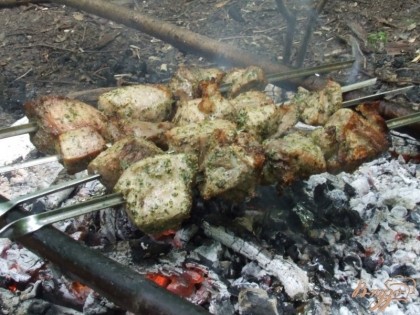 Нанизать шашлык на шампуры. Готовить мясо в зависимости от величины кусочков.