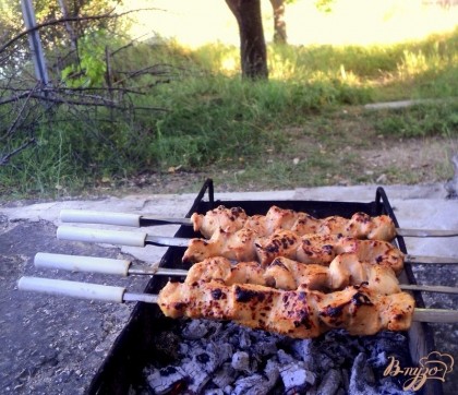 Нанизать мясо на шампура и жарить на мангале, периодически поворачивая шампура.