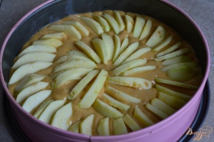 Тесто вылить в форму , дольки яблок уложить , немного вдавливая в тесто.