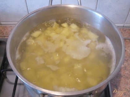 В кастрюле вскипятить воду и опустить в нее картофель. Варить 10-15 минут. Посолить.