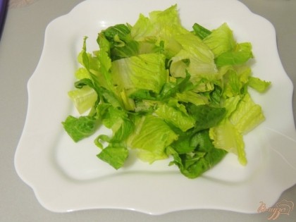 На тарелку положить рваные листья салата.