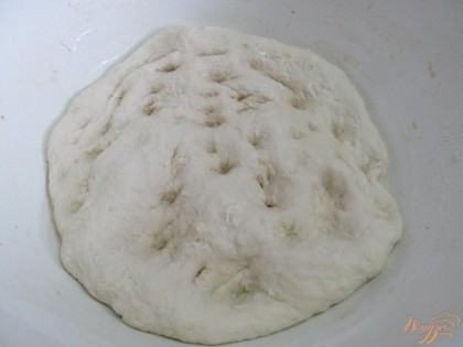 Миску смазать растительным маслом и выложить тесто. Пальцами сделать проколы в тесте, что бы вышел углекислый газ. Накрыть крышкой и поставить в теплое место.
