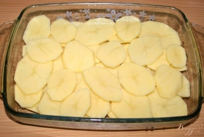 В форму для запекания равномерно выложить картофель.