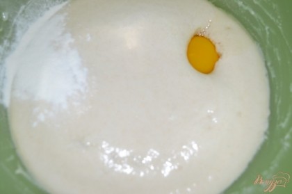 В опару вбить яйцо, добавить разрыхлитель, 1 столовую ложку растительного масла. Просеять оставшуюся муку.