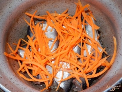 На дно кастрюли наливаю растительное масло, укладываю слоями рыбку и лук-морковь. Каждый слой подсаливаю, добавляю в кастрюлю гвоздичку, черный перец горошком, лавровый лист.