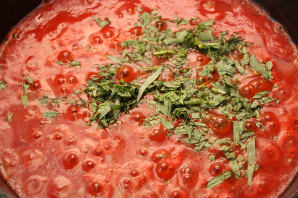 Когда томатное пюре покипит минут 5-7, положить туда нарезанные листочки эстрагона.