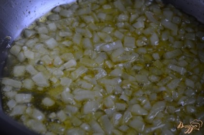 В кастрюле на оливковом масле обжарить до прозрачности мелко нарезанную луковицу.