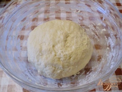 Из заданных продуктов приготовьте тесто. В теплой воде растворите дрожжи, соль и сахар. Добавьте муку. Вымешайте колобок. оставьте тесто в тепле, накрыв сухой салфеткой, на 1 час.