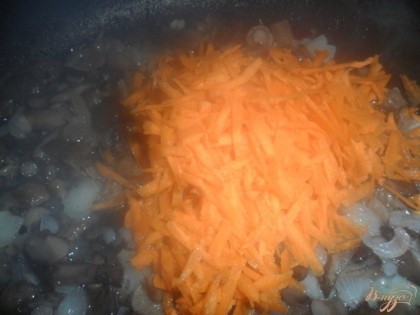 Затем натереть на крупной терке морковь и добавить на сковороду к грибам и луку, жарить до готовности грибов, посолить.