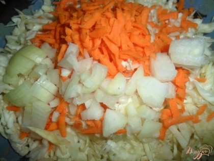 Капусту нашинковать, посолить и помять руками. лук мелко порезать, морковь натереть на терке.