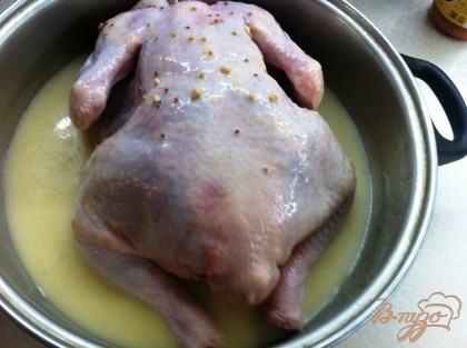 Кладем курицу в глубокую миску и поливаем горчичным маринадом, оставляем на 30 минут, затем переворачиваем курицу и маринуем с другой стороны ещё 30 минут. (рецептhttp://vpuzo.com/konservaciya/19666-ogurcy-v-gorchichnom-marinade.html)