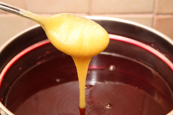 Так как мед не стоит нагревать, чтобы не потерять его полезных качеств, мы добавляем его в остывший компот и перемешиваем до полного растворения.  Пить вкуснее всего охлажденным.  
