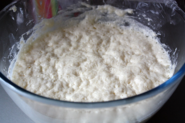 Получившееся мягкое тесто (опару) поставить в теплое место на час-полтора, пока оно не увеличится вдвое.