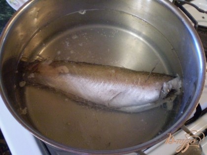 Рыбу также следует отварить. В кипящую воду кладем соль, тушку рыбы. Варим до готовности.