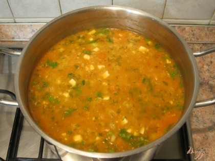 В конце приготовления суп посолить, поперчить, добавить по вкусу сахар и специи, посыпать нарезанной зеленью.