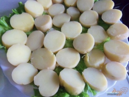 Картофель отварить в "мундире" очистить и порезать кружочками, примерно по 8-10 мм толщиной. На блюдо выложить листья салата. Сверху положить кружочки картофеля.