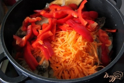 Добавить морковь, тертую на крупной терке, перец, нарезанный тонкими полосками, тушить мин.5.