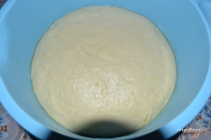 Тесто положить в смазанную маслом миску и поставить в теплое место примерно на 1 час.