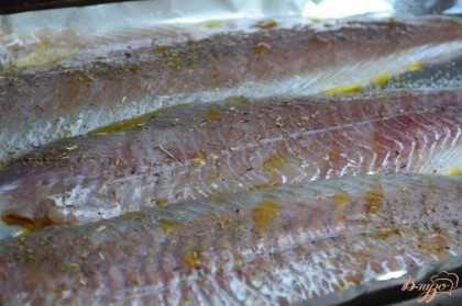 Филе рыбы уложить на противень с фольгой .Немного посолить, полить оливковым маслом и лимонным соком, посыпать прованскими травами.