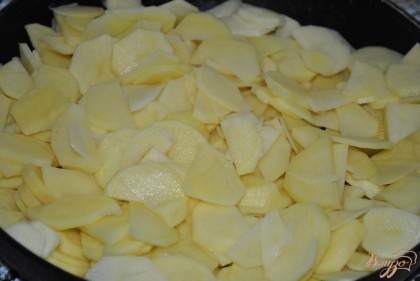 Очистить и мелко порезать картофель