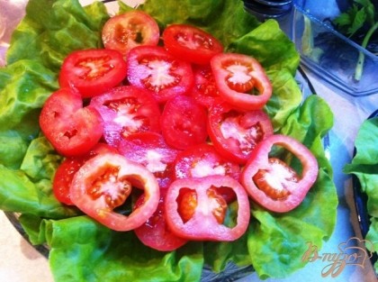 На плоское блюдо выкладываем листья салата, раскладываем половину помидор