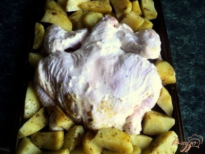 Выложить курицу на смазанный растительным маслом противень, по бокам разложить картофель. Запекать при температуре 200 градусов 1 час.