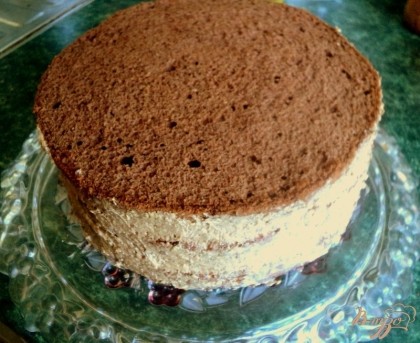 Сборка торта: пласты бисквита пропитать при помощи косточки  горячим молоком, переслоить толстым слоем крема, кроме верхнего пласта. Бока торта также смазать кремом. Поставить торт в холодильник.