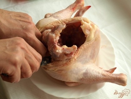 Курицу сначала обмыть и обсушить, приступить к разделке. Немного подрезать кожу курицы по спинке, осторожно чтобы не повредить кожу понемногу пробираться вглубь срезая мякоть с костей.