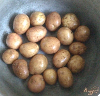 Итак, для приготовления нам необходимо взять мелкой картошечки желательно одного размера. Очень тщательно вымыть, можно даже с губкой для мытья посуды.