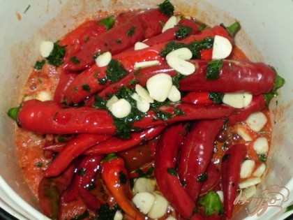 Складываем в кастрюлю в томат перец горький, чеснок, петрушку, масло растительное, уксус. Варим еще 10 минут с момента закипания.