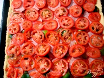 На перец выкладывайте помидоры нарезанные кружочками. Сверху на помидоры натираете на мелкой тёрке сыр