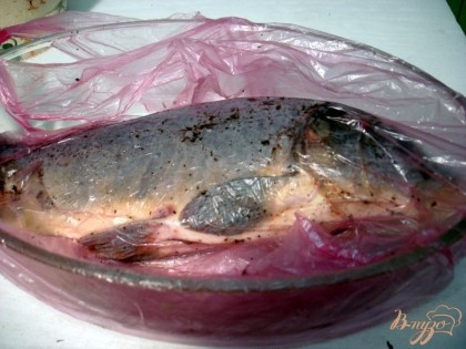 Тщательно растираем соль и перец по всей поверхности рыбы. Вкладываем рыбу с формой  для выпекания в целлофановый пакет. Туда-же отправляем оставшийся чеснок.Помещаем форму в холодильник на ночь, или на пять, шесть часов.