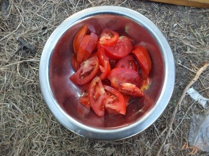 Уже на месте нарезаем тонкими дольками помидоры (лучше их вымыть заранее дома).
