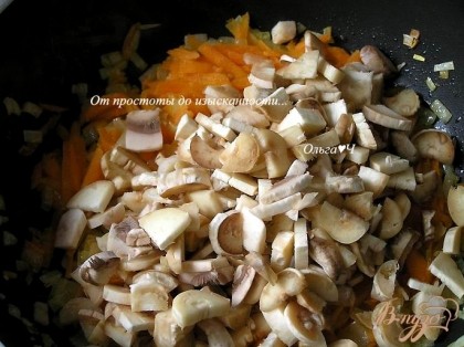На растительном масле обжарить мелко нарезанный лук и тертую морковь до мягкости, добавить мелко нарезанные грибы. Готовить еще минут 15, чуток присолить, поперчить и дать выпариться лишней жидкости.