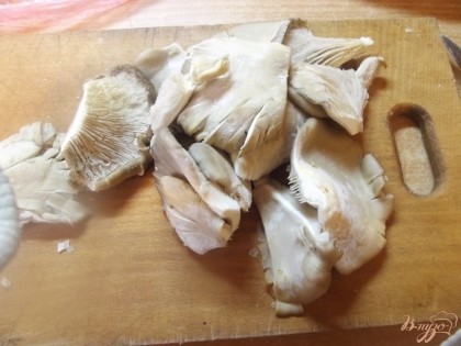 Вешанки моем, делим на отдельные грибы тонким ножом.