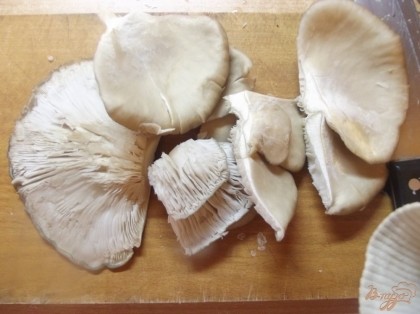 Вешанки хорошенько моем и разделяем на отдельные грибы. Нарезаем грибы соломкой.