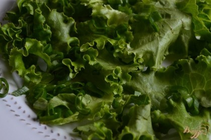 По тарелкам разложить  хорошо промытыте листья салата, посыпать зеленым луком.