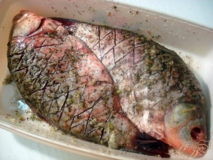 Рыбу солим, перчим и хорошо втираем в неё маринад. Накрываем или закрываем плёнкой и ставим мариноваться.
