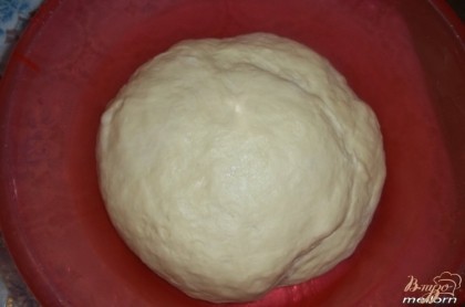 Замесить тесто из оставшегося молока, яиц, сметаны, сахара, муки, соли, и дрожжей. Тесто должно быть мягким, нежным, слегка прилипать к рукам. Тесто поставить в теплое место примерно на 1 час (должно увеличиться примерно в 2 раза).