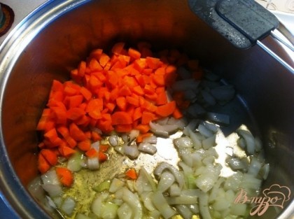 В кастрюле с толстым дном в оливковом масле обжарить с начала лук, затем добавить морковь.