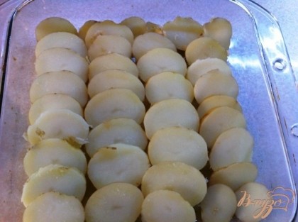 Раскладываем картофельные кружочки аккуратными рядами в нахлёст, посыпаем солью, мускатным орехом и перцем, кладем  не очищенные зубчики чеснока.