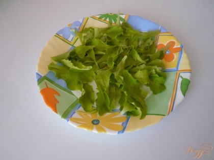 Листья салата выкладываю на плоскую тарелку. У меня сала был совсем молоденький, поэтому листочки целиком, иначе их надо было бы нарвать помельче.