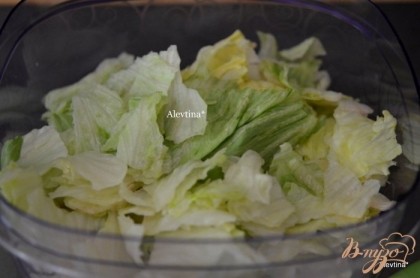 Готово! Листья салата нарвать или нарезать специальным ножом в емкость.