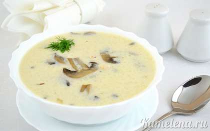 Грибной суп с плавленым сыром подавать горячим.