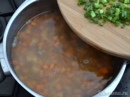 Добавить в суп зеленый лук, посолить, поперчить, варить 2-3 минуты.