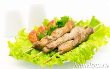 Куриные шашлычки подавать к любимому гарниру – картофельному пюре, рису или салату из зеленых овощей.