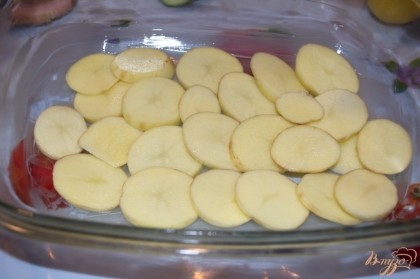 Форму для запекания смазать маслом. На дно, с небольшим нахлестом, выложите нарезанные кружочки картофеля.