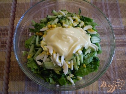 Заправить салат солью и домашним майонезом на желтках.